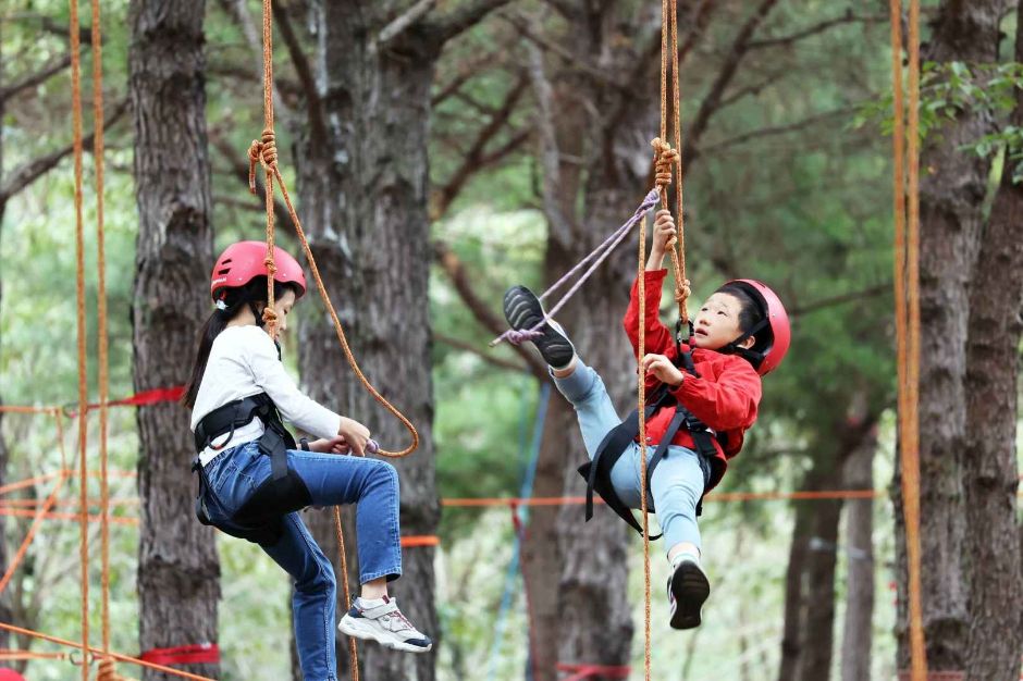 Festival Wild & Local Food de Wanju (완주 와일드&로컬푸드축제)