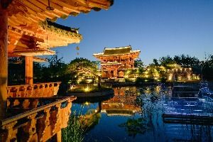 2025 국립세종수목원 야간개장 (4)