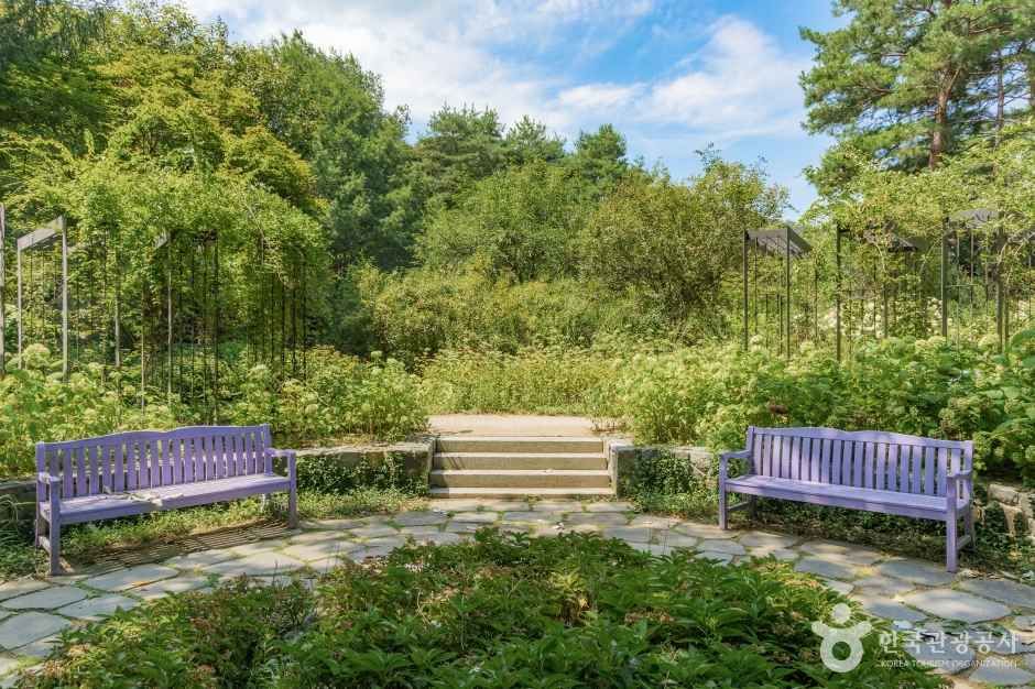 thumbnail-국립수목원(광릉숲)-23