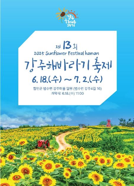 thumbnail-강주해바라기 축제-13