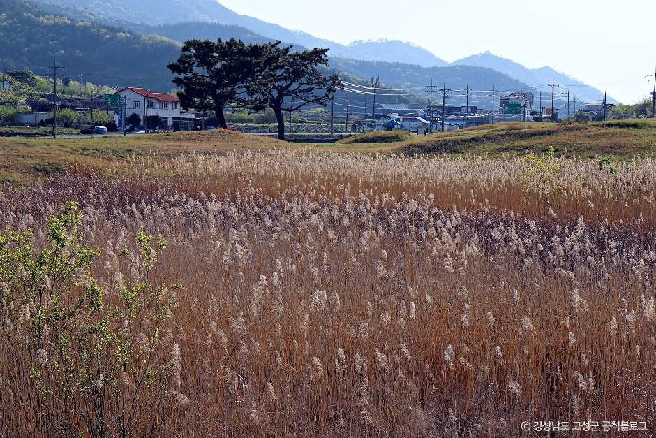 고성 내산리 고분군