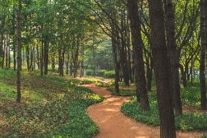 서울_일원에코파크 (6)