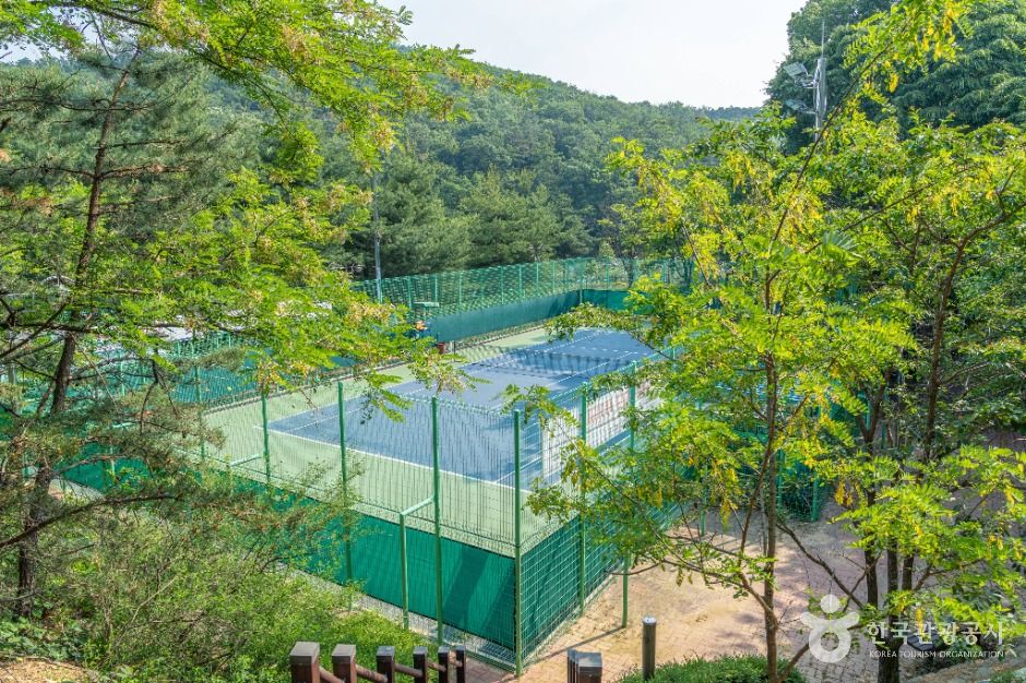 성주산생활체육공원
