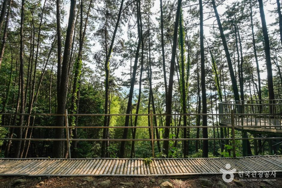 거제맹종죽테마공원