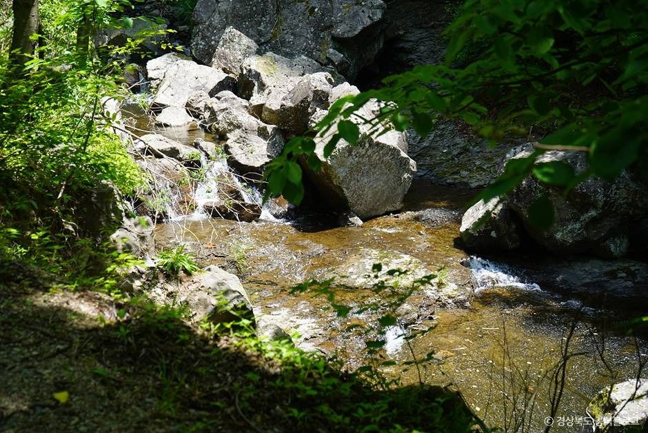주산지(청송 국가지질공원)