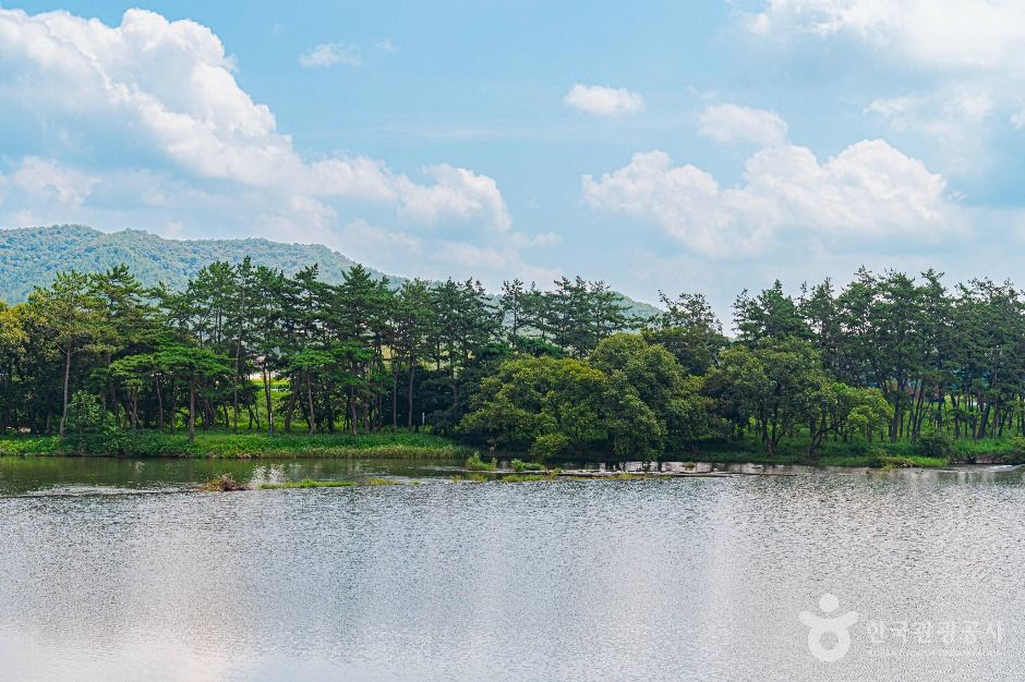 나주_드들강솔밭유원지 (4)