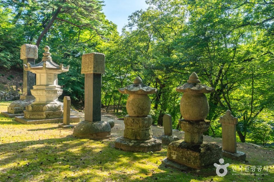 회진당원의대사지비