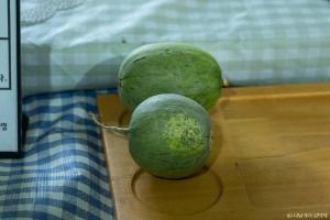 전남 영암 전북 완주 여행 가볼만한곳 한복 명상 전통주 이색 체험_야미야미팜_3-2