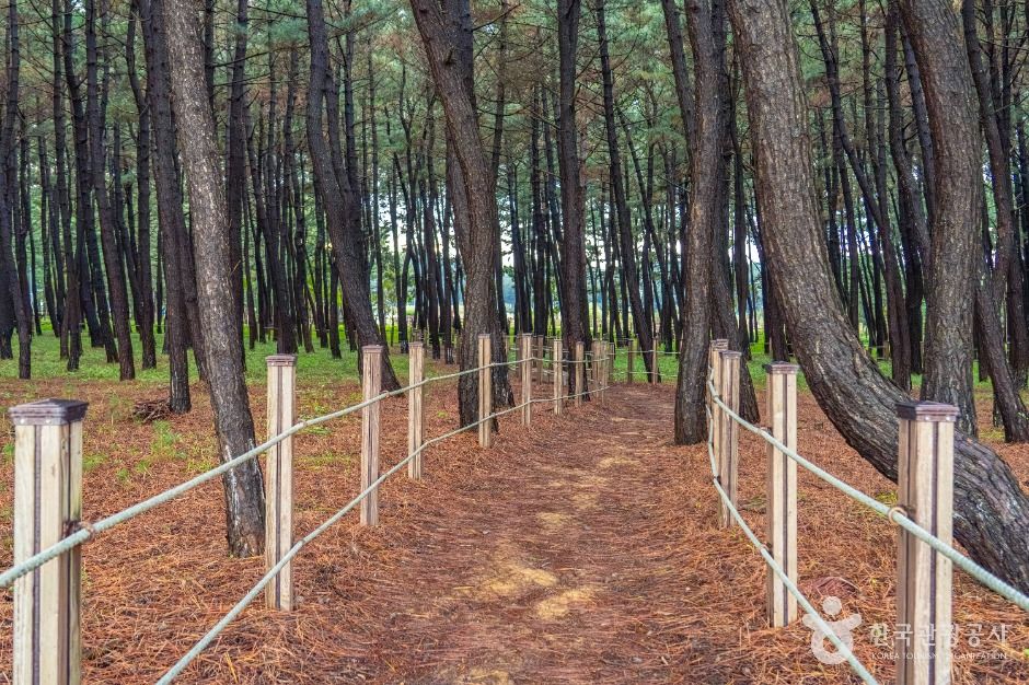 평해사구습지 생태공원