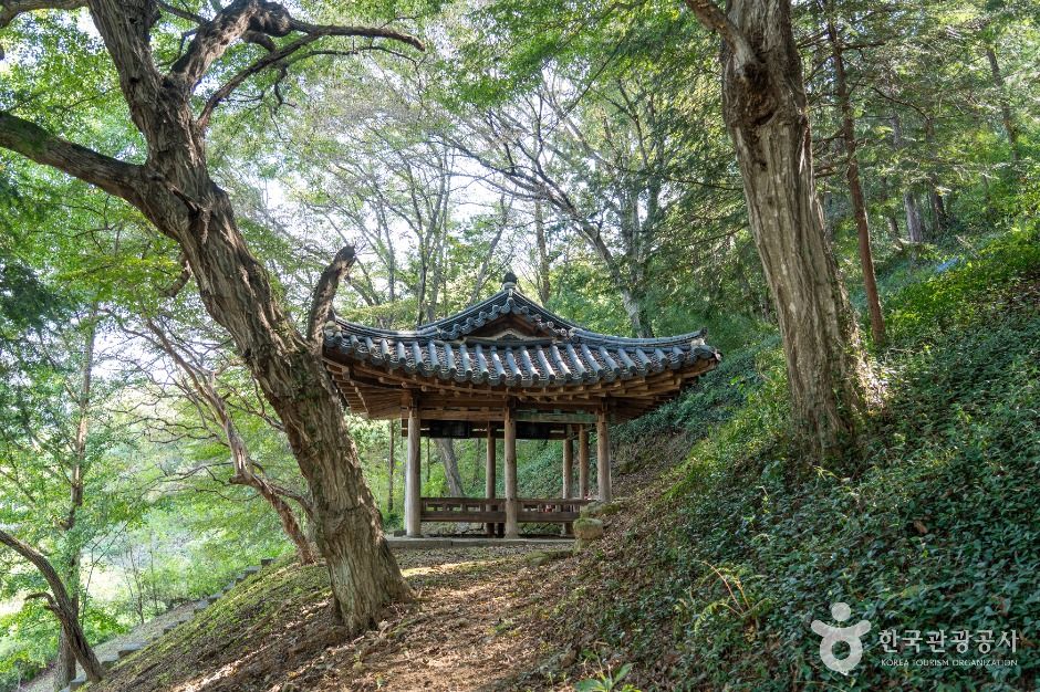 thumbnail-남희정-4