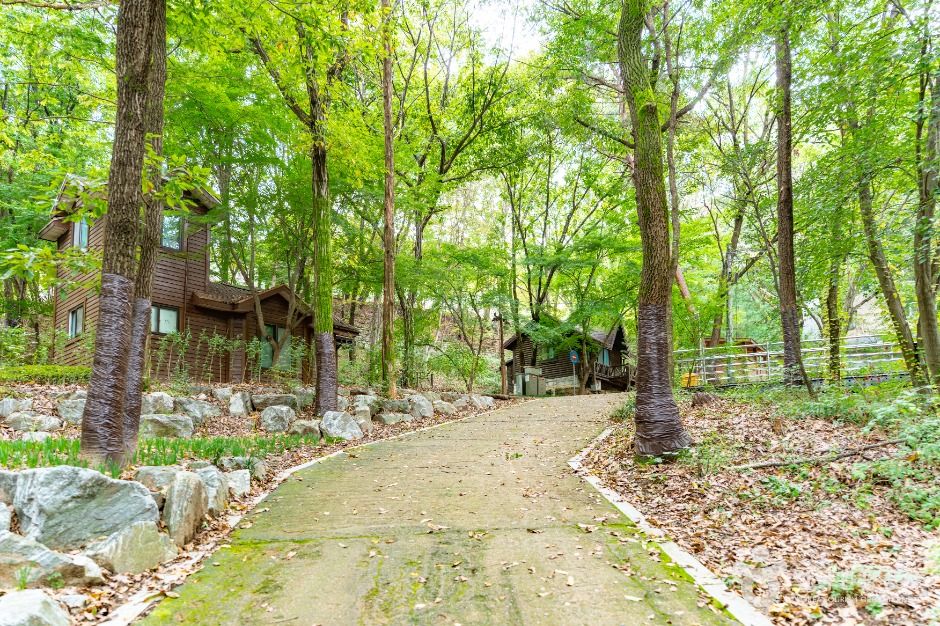 아산 영인산자연휴양림