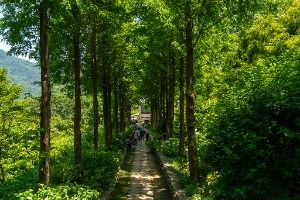 고성_그레이스 정원 (1)