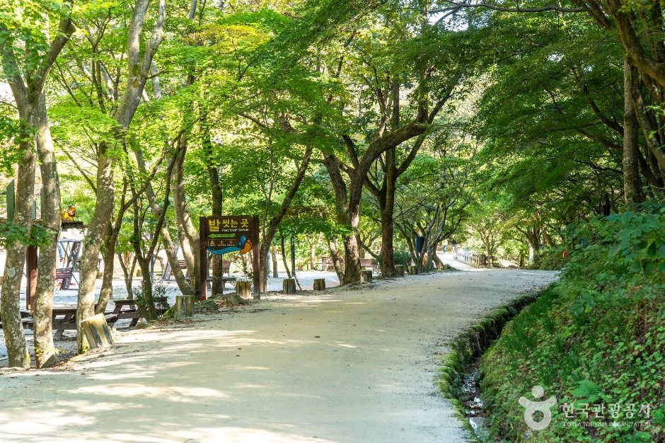 강천산 군립공원