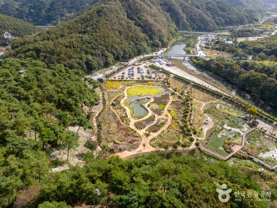 thumbnail-정읍 구절초 지방정원-2