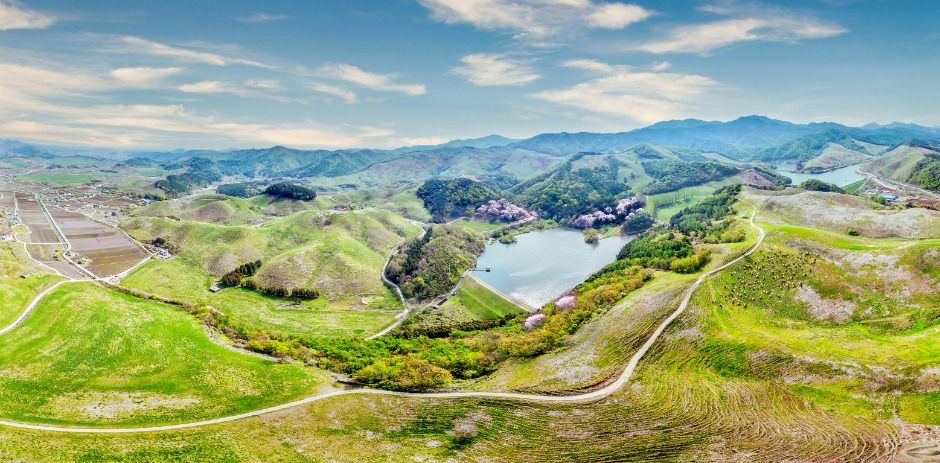 서산한우목장 웰빙산책로