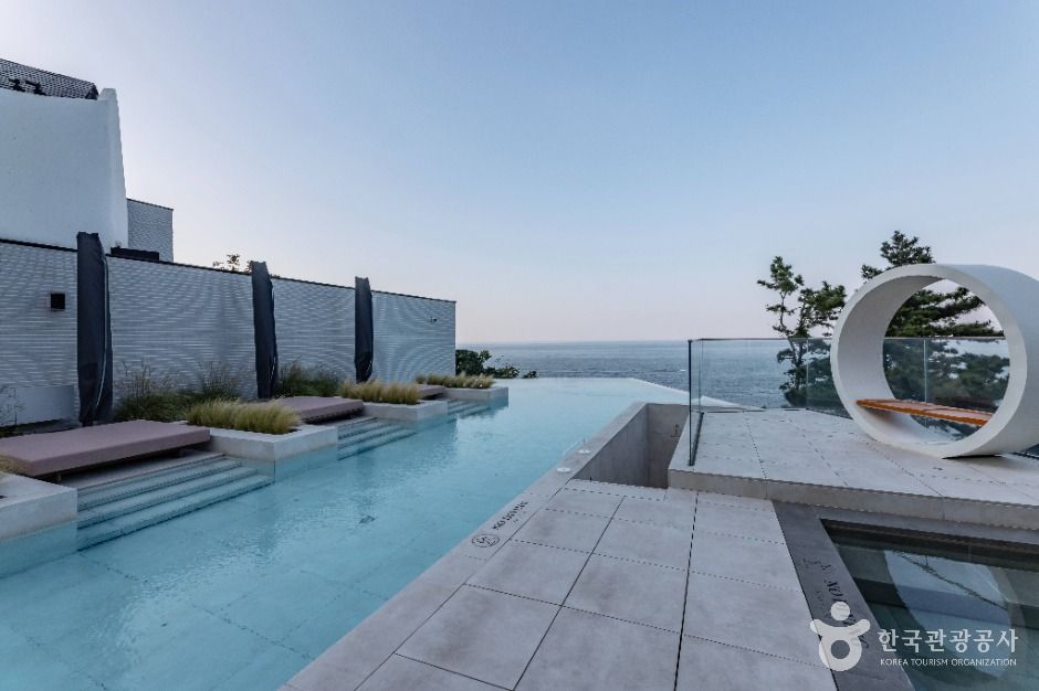 울릉_코스모스 울릉도 (16)