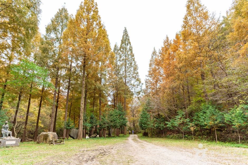 온빛자연휴양림