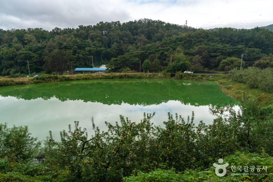 [대구올레 팔공산 4코스] 평광동 왕건길