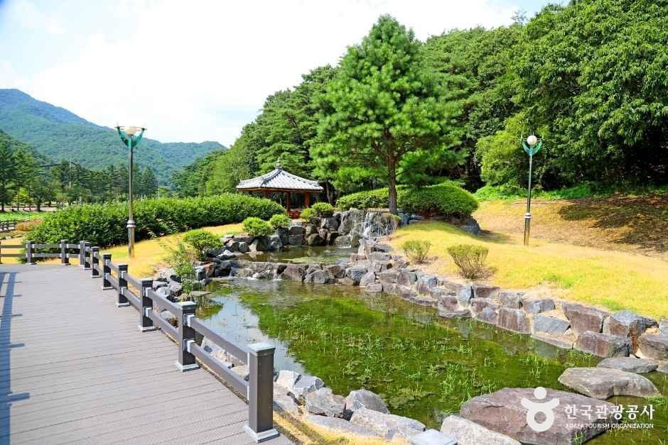 thumbnail-속리산연꽃단지-12