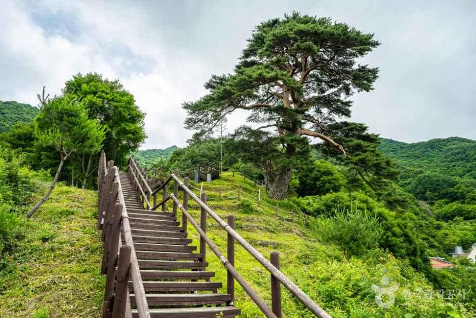 thumbnail-뱀사골 와운마을-1