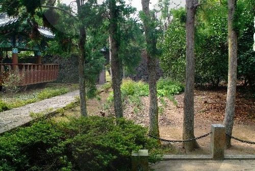 [제주올레 18코스] 제주원도심-조천 올레6