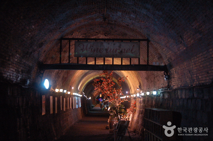 清道红酒隧道(청도 와인터널)