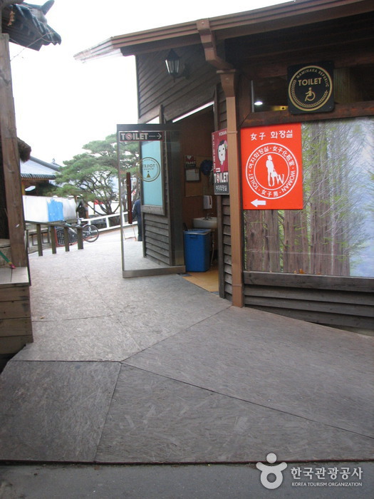 Namiseom Island (남이섬 종합휴양지)