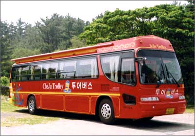 Jeju Trolley Limousine Tour