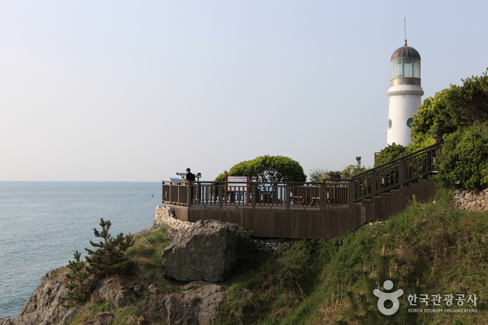 Insel Haeundae Dongbaekseom (해운대 동백섬)9