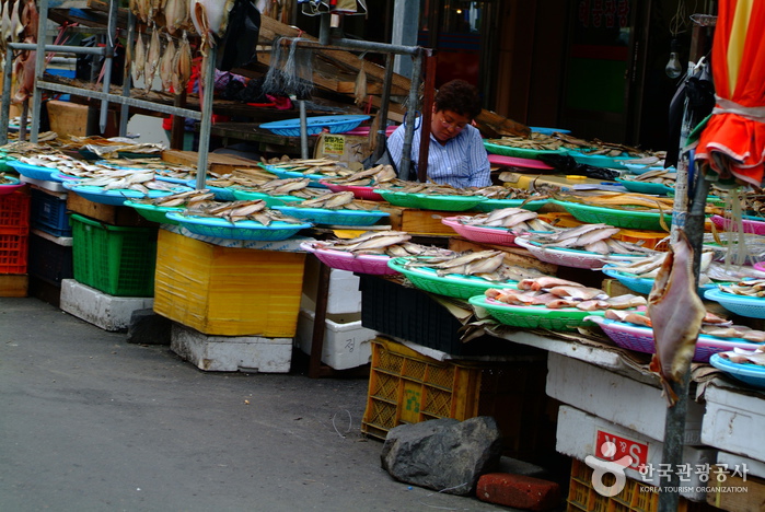 Jukdo Market (포항 죽도시장)