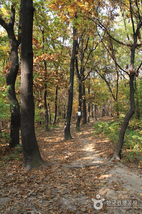 Monte Dobongsan (도봉산)