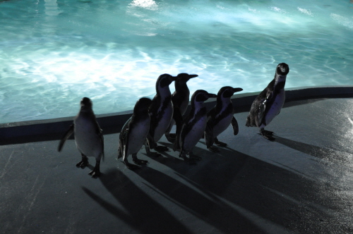 부산 삼정 더파크0