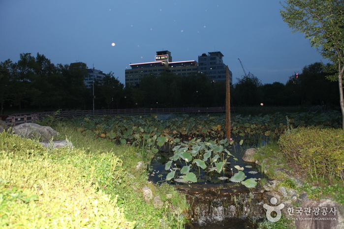 Hanbat Arboretum (한밭수목원)7