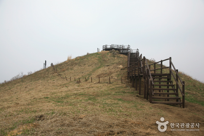 초록 능선에 조성된 철쭉 화원, 지리산 바래봉 3