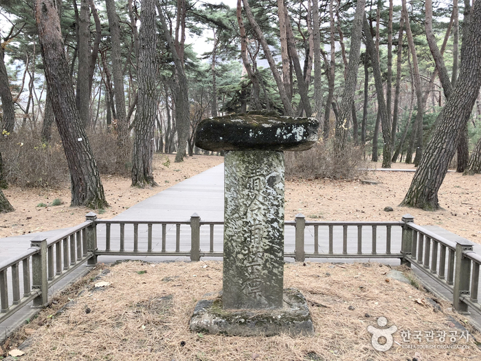 Cheongnyeongpo (청령포 (강원고생대 국가지질공원))