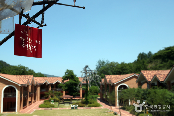 동해무릉건강숲3