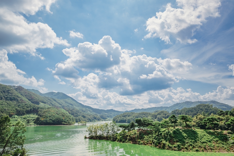 Aquatic Botanical Garden (수생식물학습원)