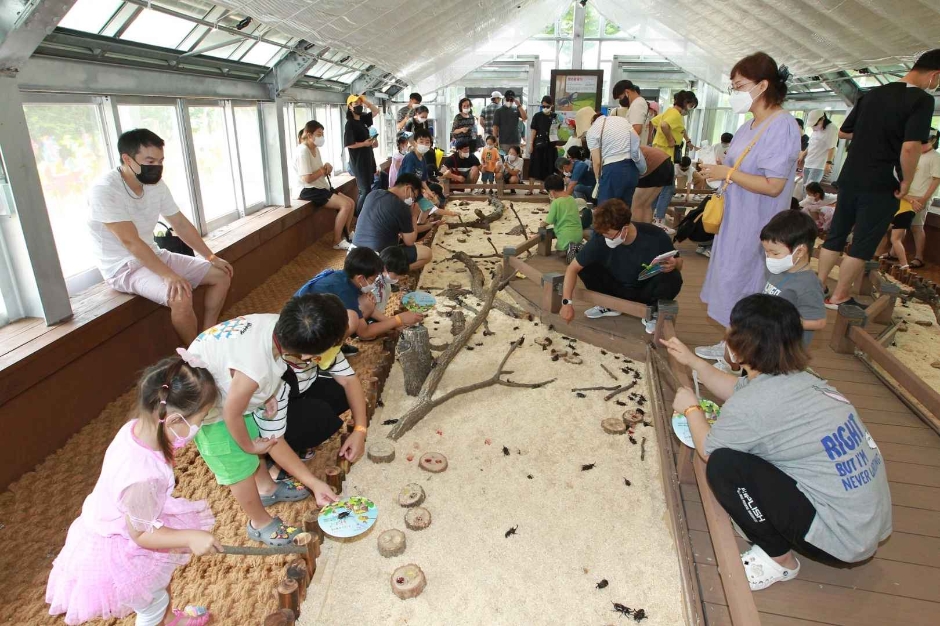 예천곤충축제