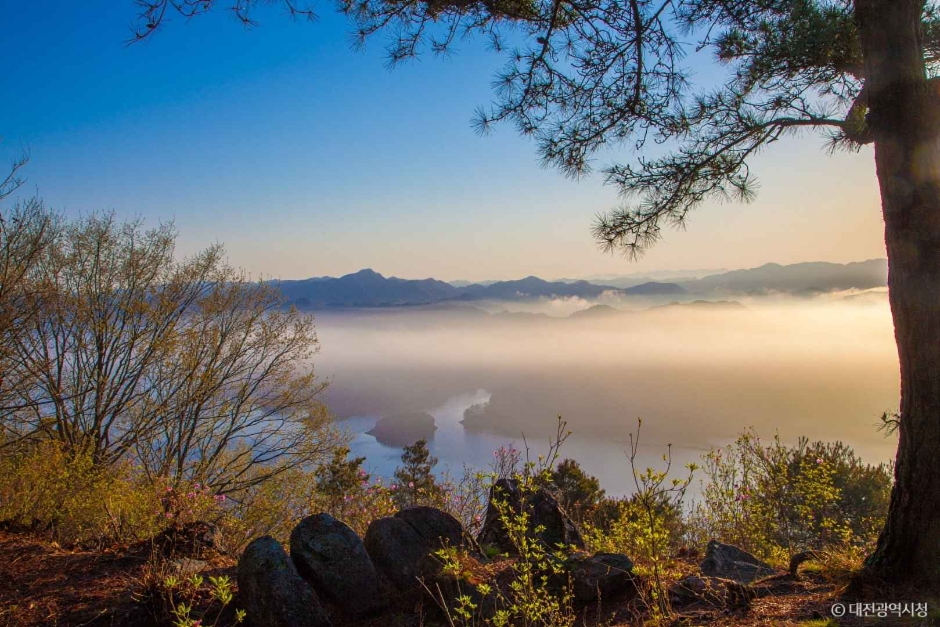 대전_동구_노고산 (11)