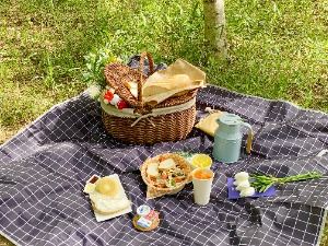 2025 남이섬 벗(友)꽃놀자 3