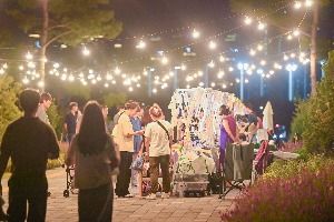 2025 국립세종수목원 야간개장 (5)