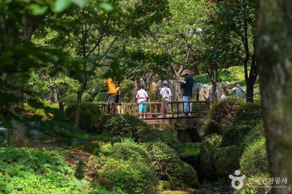 용인자연휴양림