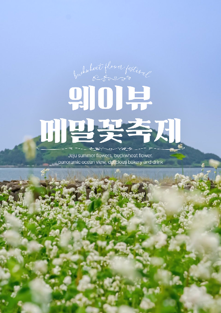 2025 웨이뷰 메밀꽃 축제 포스터