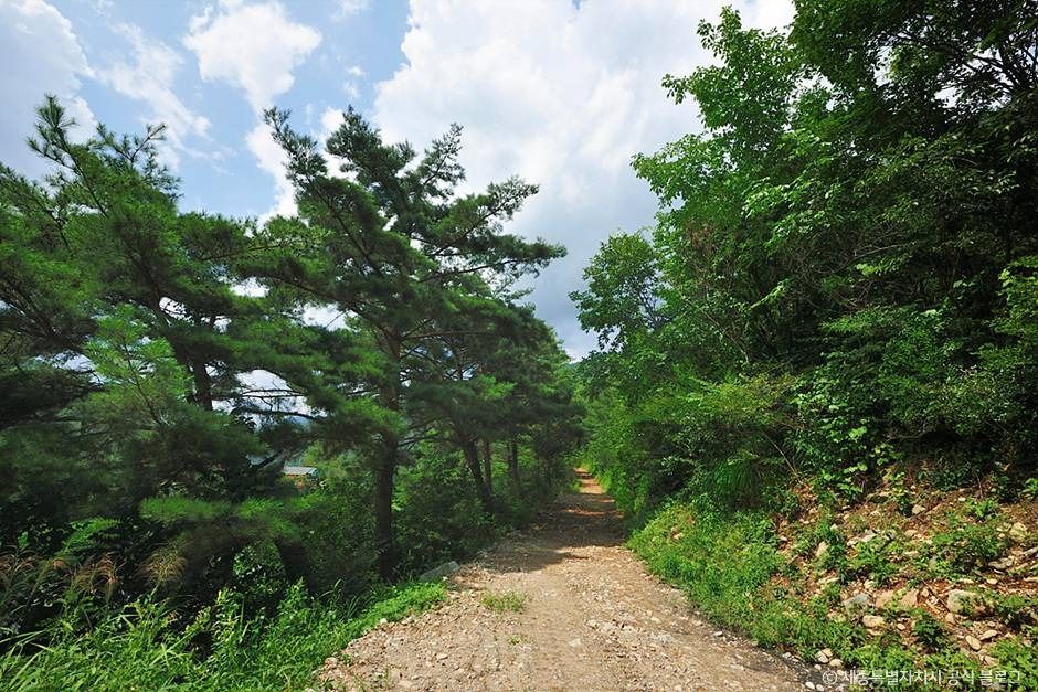 백석봉(정선)