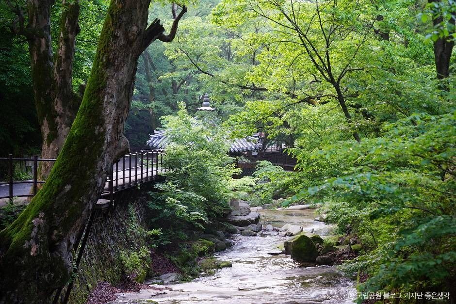 계룡산국립공원
