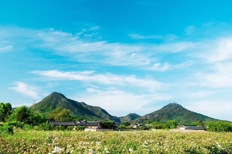 금성산·비봉산(의성)
