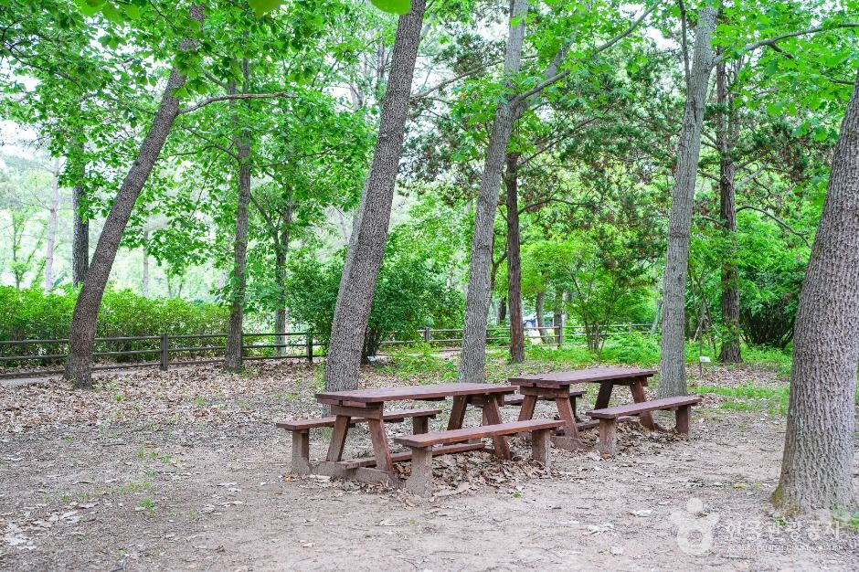 경상북도 산림환경연구원