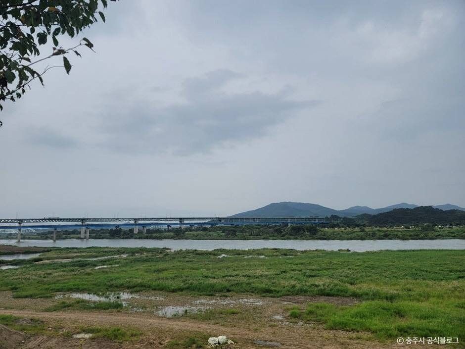 충주_남한강 (1)
