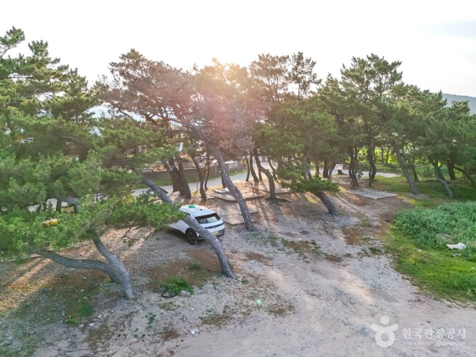포항_조사리간이해수욕장 (3)