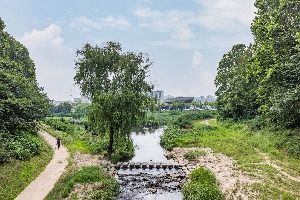 인천_굴포천 생태하천 (6)